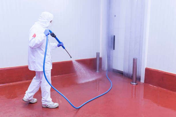 Reliable Weedsport, NY Pressure Washing Services Solutions